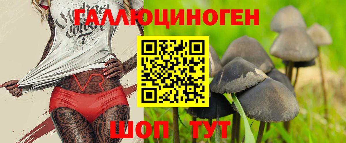 Вязники  Галлюциногенные грибы мицелий  Вход с VPN 